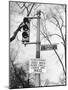 Close-Up of Traffic Sign at Dupont Circle-Myron Davis-Mounted Photographic Print