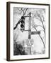 Close-Up of Traffic Sign at Dupont Circle-Myron Davis-Framed Photographic Print