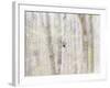 Close-Up of Trees in Forest-Utterström Photography-Framed Photographic Print