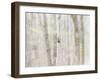 Close-Up of Trees in Forest-Utterström Photography-Framed Photographic Print