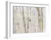 Close-Up of Trees in Forest-Utterström Photography-Framed Photographic Print