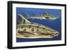 Close-Up of Two Leopard Sharks (Triakis Semifasciata)-null-Framed Giclee Print