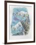 Close-Up of Two Mountain Goats (Oreamnos Americanus)-null-Framed Giclee Print