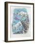 Close-Up of Two Mountain Goats (Oreamnos Americanus)-null-Framed Giclee Print