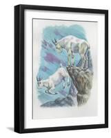 Close-Up of Two Mountain Goats (Oreamnos Americanus)-null-Framed Giclee Print