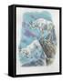 Close-Up of Two Mountain Goats (Oreamnos Americanus)-null-Framed Stretched Canvas