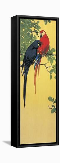 Close-Up of Two Parrots Perching on a Branch-null-Framed Stretched Canvas