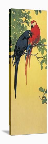 Close-Up of Two Parrots Perching on a Branch-null-Stretched Canvas