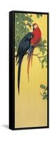 Close-Up of Two Parrots Perching on a Branch-null-Framed Stretched Canvas