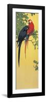 Close-Up of Two Parrots Perching on a Branch-null-Framed Giclee Print