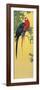 Close-Up of Two Parrots Perching on a Branch-null-Framed Giclee Print