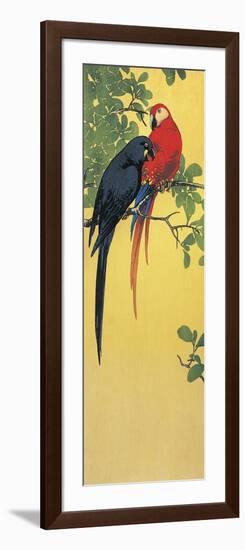 Close-Up of Two Parrots Perching on a Branch-null-Framed Giclee Print