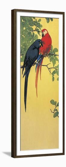Close-Up of Two Parrots Perching on a Branch-null-Framed Giclee Print