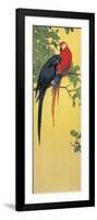 Close-Up of Two Parrots Perching on a Branch-null-Framed Giclee Print