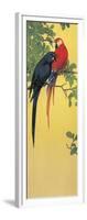 Close-Up of Two Parrots Perching on a Branch-null-Framed Giclee Print