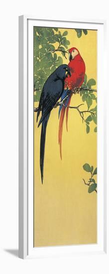 Close-Up of Two Parrots Perching on a Branch-null-Framed Giclee Print