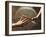 Close Up of Two Runners Hands Passing the Baton in Relay Race in Front of Old European Clock Face-null-Framed Photographic Print