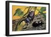 Close-Up of Two Stag Beetles (Lucanus Cervus)-null-Framed Giclee Print