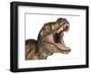 Close-Up of Tyrannosaurus Rex Dinosaur with Mouth Open-null-Framed Art Print