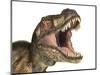 Close-Up of Tyrannosaurus Rex Dinosaur with Mouth Open-null-Mounted Art Print