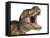 Close-Up of Tyrannosaurus Rex Dinosaur with Mouth Open-null-Framed Stretched Canvas