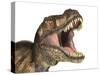 Close-Up of Tyrannosaurus Rex Dinosaur with Mouth Open-null-Stretched Canvas