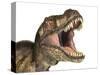 Close-Up of Tyrannosaurus Rex Dinosaur with Mouth Open-null-Stretched Canvas