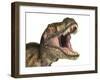 Close-Up of Tyrannosaurus Rex Dinosaur with Mouth Open-null-Framed Art Print