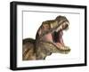 Close-Up of Tyrannosaurus Rex Dinosaur with Mouth Open-null-Framed Art Print