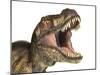 Close-Up of Tyrannosaurus Rex Dinosaur with Mouth Open-null-Mounted Art Print