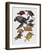 Close-Up of Varanidae Family-null-Framed Giclee Print