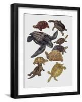 Close-Up of Varanidae Family-null-Framed Giclee Print