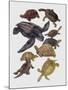 Close-Up of Varanidae Family-null-Mounted Giclee Print