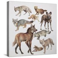 Close-Up of Various Wild Dogs-null-Stretched Canvas