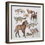 Close-Up of Various Wild Dogs-null-Framed Premium Giclee Print