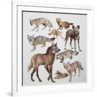 Close-Up of Various Wild Dogs-null-Framed Giclee Print