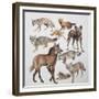 Close-Up of Various Wild Dogs-null-Framed Giclee Print