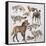 Close-Up of Various Wild Dogs-null-Framed Stretched Canvas