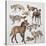 Close-Up of Various Wild Dogs-null-Stretched Canvas