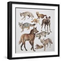 Close-Up of Various Wild Dogs-null-Framed Giclee Print