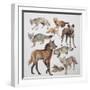 Close-Up of Various Wild Dogs-null-Framed Giclee Print