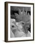 Close Up of View of Two White Leghorns, That Hatched at the Same Time-Bernard Hoffman-Framed Photographic Print