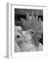 Close Up of View of Two White Leghorns, That Hatched at the Same Time-Bernard Hoffman-Framed Photographic Print