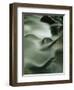 Close-Up of Water Over Rocks, Tennessee, USA-James Hager-Framed Photographic Print