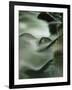 Close-Up of Water Over Rocks, Tennessee, USA-James Hager-Framed Photographic Print