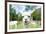 Close up of White Alpaca Looking Straight ahead in the Beautiful Green Meadow, it's Curious Cute Ey-thaweerat-Framed Photographic Print