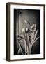 Close Up of White Daisy Flower on Old Wooden Surface-Coverzoo-Framed Photographic Print