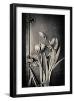 Close Up of White Daisy Flower on Old Wooden Surface-Coverzoo-Framed Photographic Print