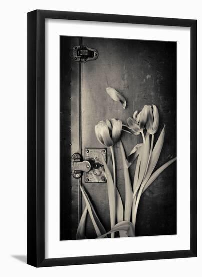 Close Up of White Daisy Flower on Old Wooden Surface-Coverzoo-Framed Photographic Print