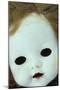 Close Up of White Face of 1950S Doll-Den Reader-Mounted Photographic Print